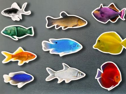 Magneticos Peces De Colores