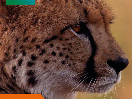 Hungry Animals. Bbc Earth