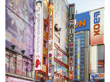 Tokio (guías Visuales Top 10)