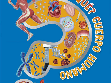 ¿sabías Qué? Cuerpo Humano