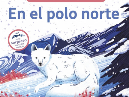 ¡pop-up Sorpresa! - En El Polo Norte