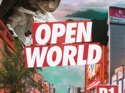 Open World Preliminary. Self Study Pack (sb W Answers W Online Practice And Wb W Answers W Audio Download And Class Audio)