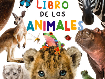 Mi Gran Libro De Los Animales