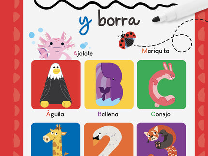 Escribe Y Borra (pizarra+rotulador)