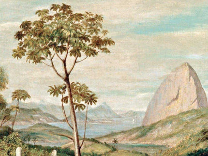 Río Insólita Y Secreta