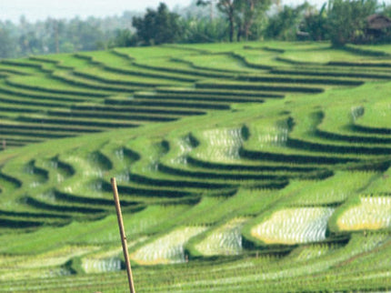 Secret Bali