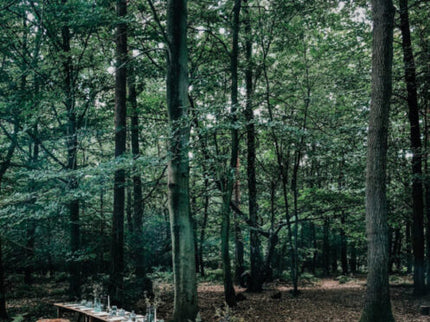 Secret Sussex