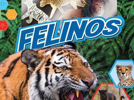 Felinos (pequeños Exploradores)