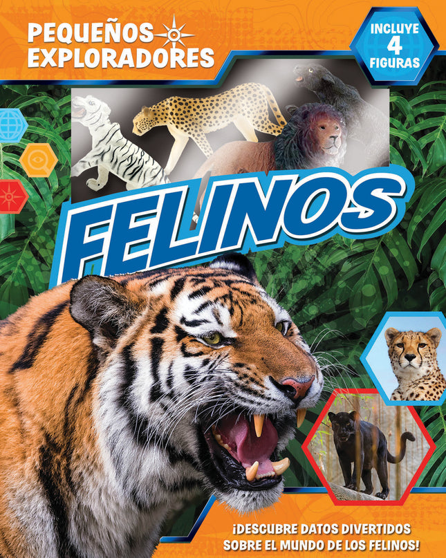 Felinos (pequeños Exploradores)