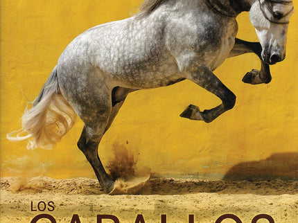 Horses Of The World