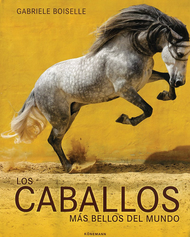 Horses Of The World