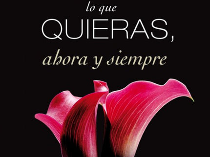 Pídeme Lo Que Quieras, Ahora Y Siempre