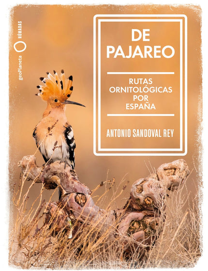 Collection image for: Aves (ornitología)