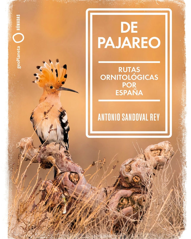 De Pajareo