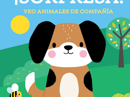 ¡sorpresa! Veo Animales De Compañía