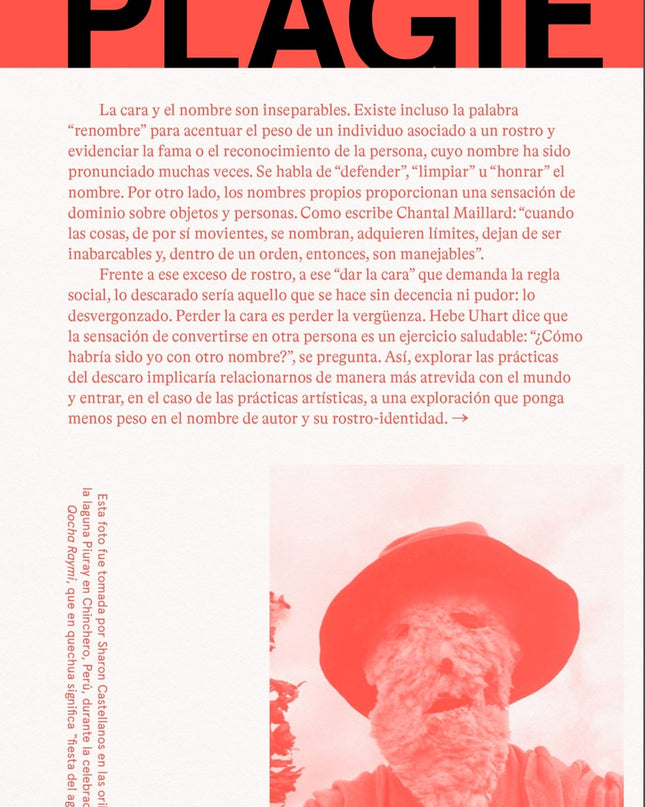 Plagie Copie Manipule Robe Reescriba Este Libro