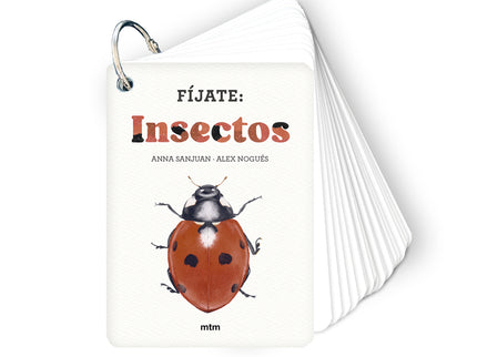 Fíjate: Insectos