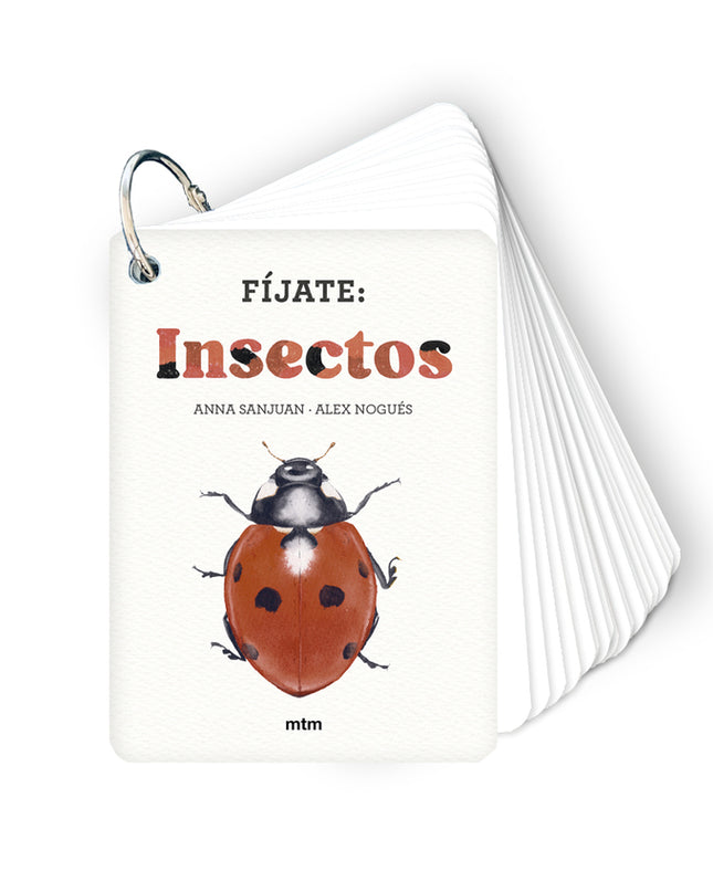 Fíjate: Insectos