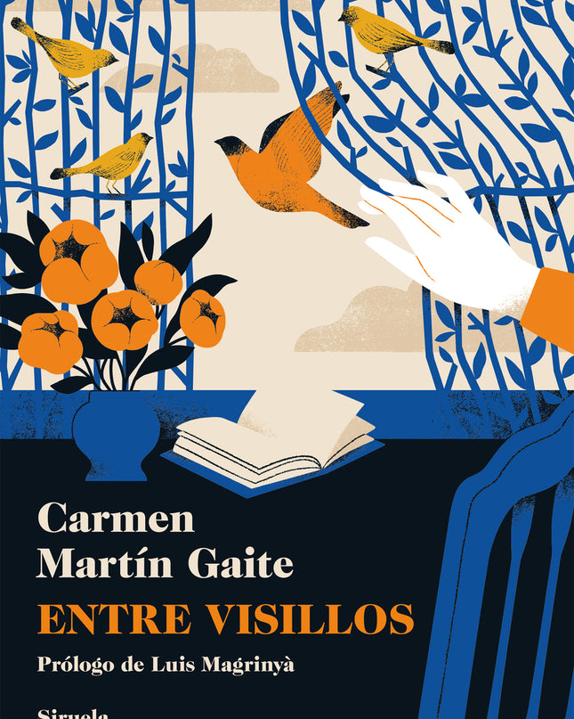 Entre Visillos