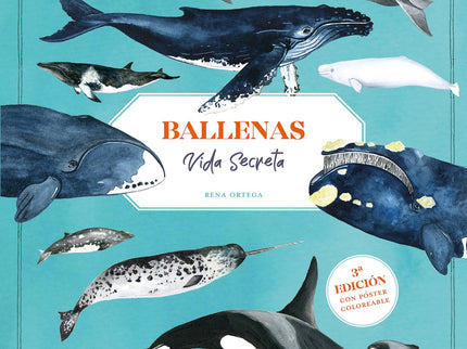 Ballenas. Vida Secreta (3ª Edición Con Póster Coloreable)