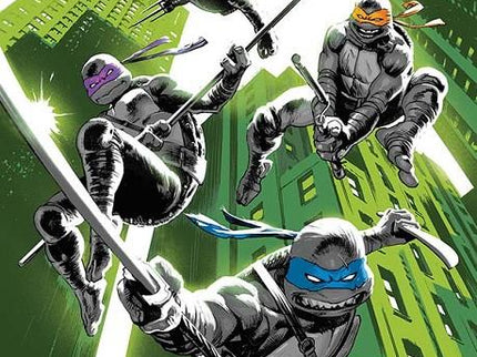 Teenage Mutant Ninja Turtles 01