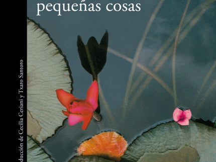 El Dios De Las Peque?as Cosas