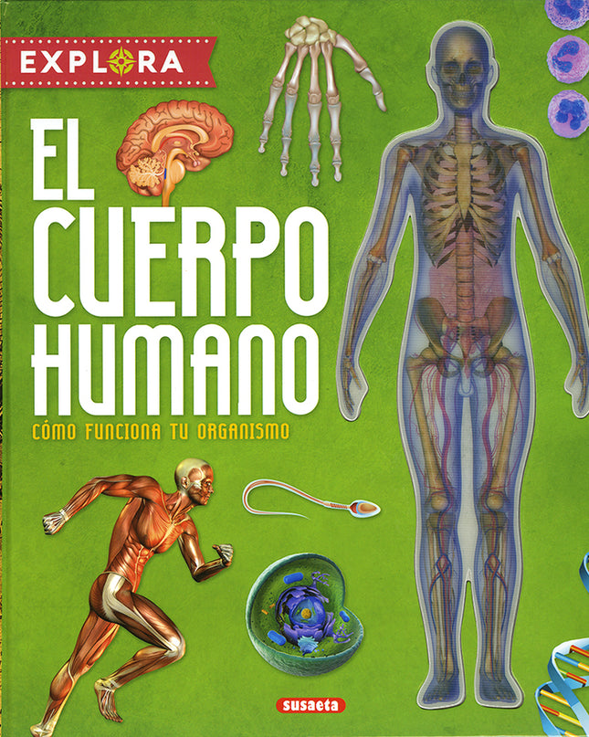 El Cuerpo Humano