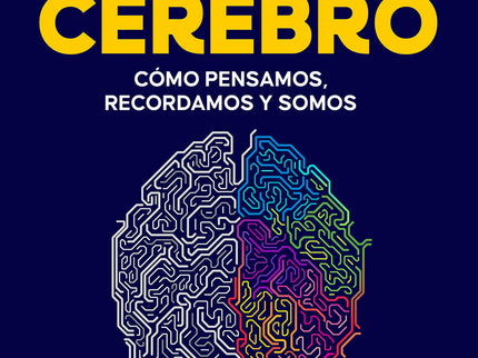 Los Secretos Del Cerebro