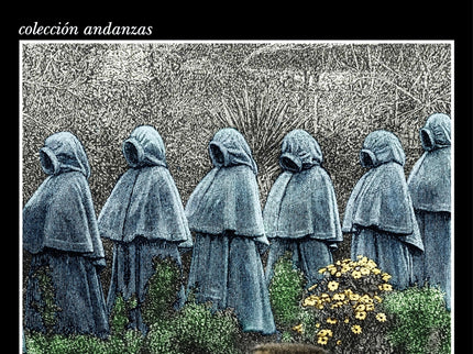 La Santa Compaña (serie Gonzalo De Berceo 2)