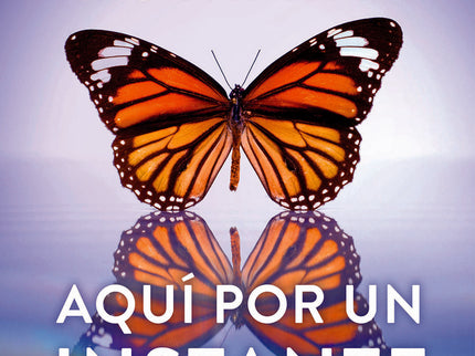 Aquí Por Un Instante