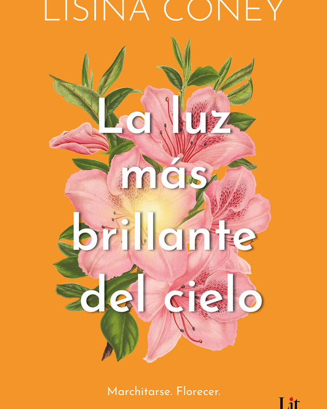 La Luz Más Brillante Del Cielo