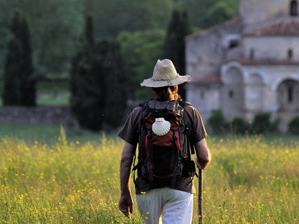 El Camino De Santiago