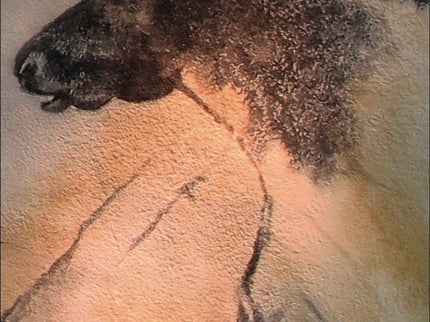 Los Pintores De Las Cavernas. El Misterio De Los Primeros Artistas