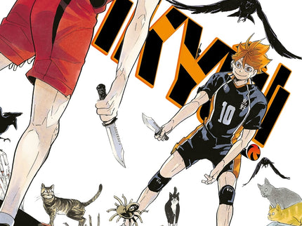 Haikyû!! Nº 36/45