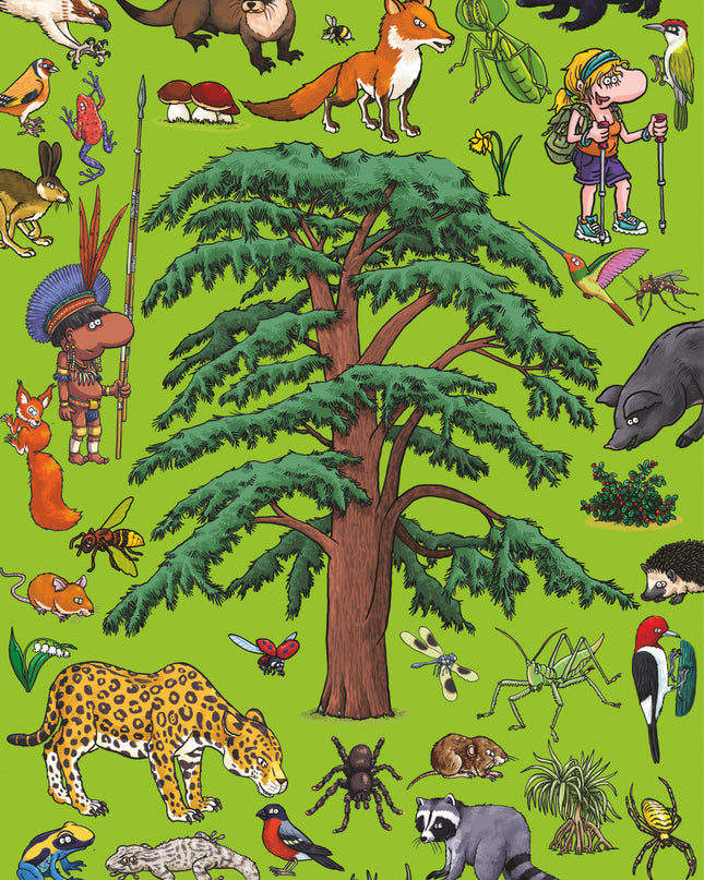Busca Y Encuentra En Los Bosques Y Selvas