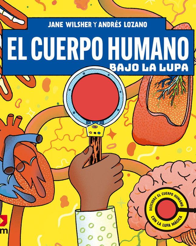 El Cuerpo Humano Bajo La Lupa