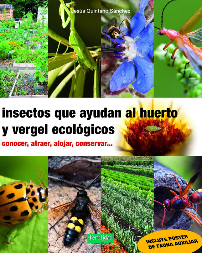 Insectos Que Ayudan Al Huerto Y Vergel Ecológicos
