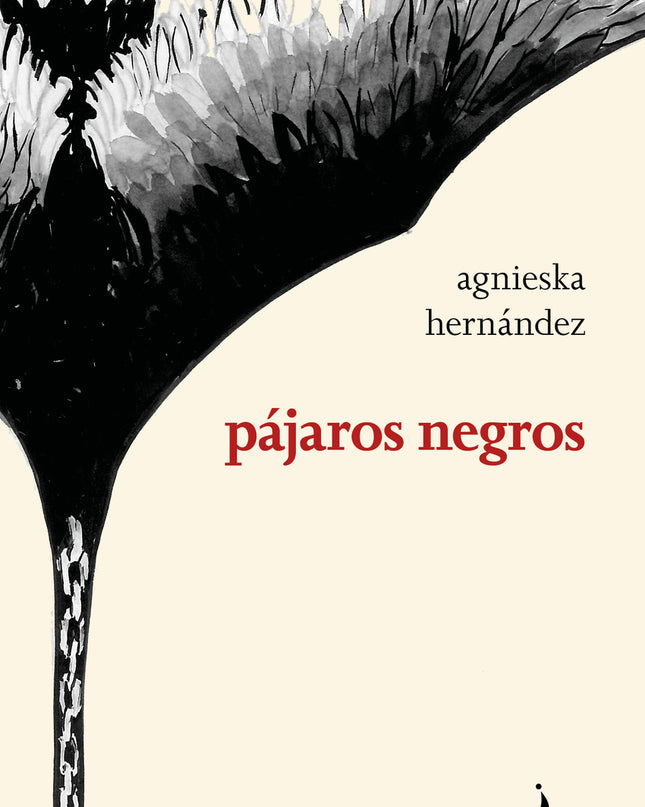 Pájaros Negros