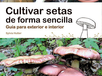 Cultivar Setas De Forma Sencilla