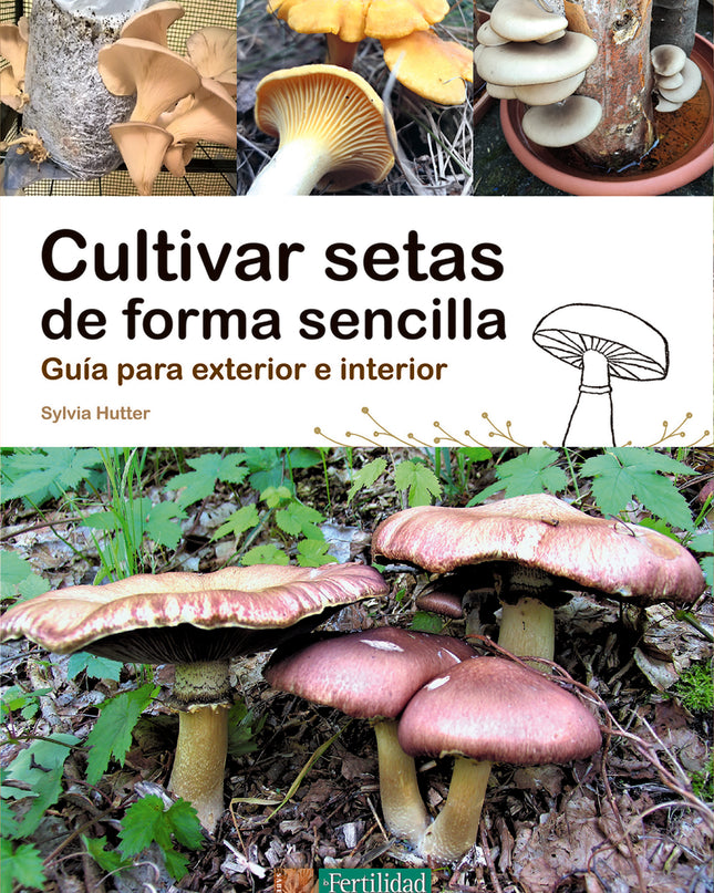 Cultivar Setas De Forma Sencilla