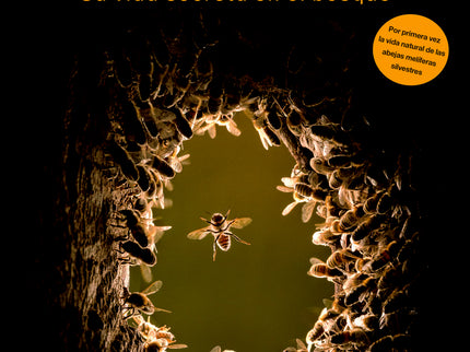 Abejas Melíferas