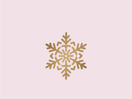 Coração De Neve