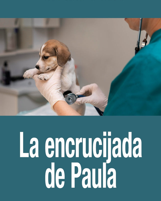La Encrucijada De Paula