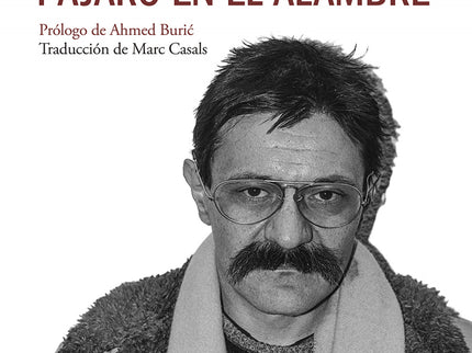 Pájaro En El Alambre