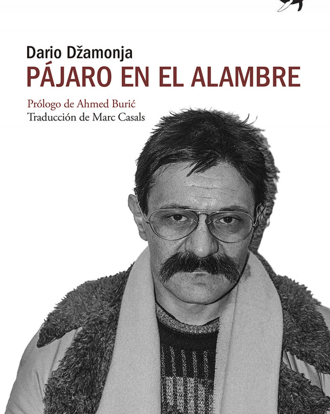 Pájaro En El Alambre