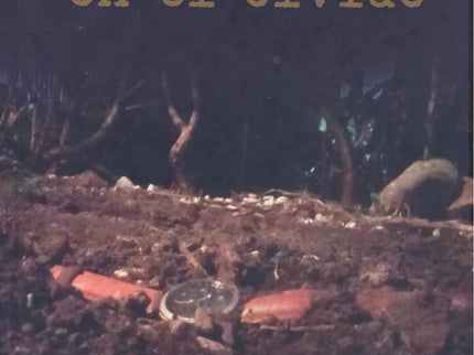 Treinta Años En El Olvido