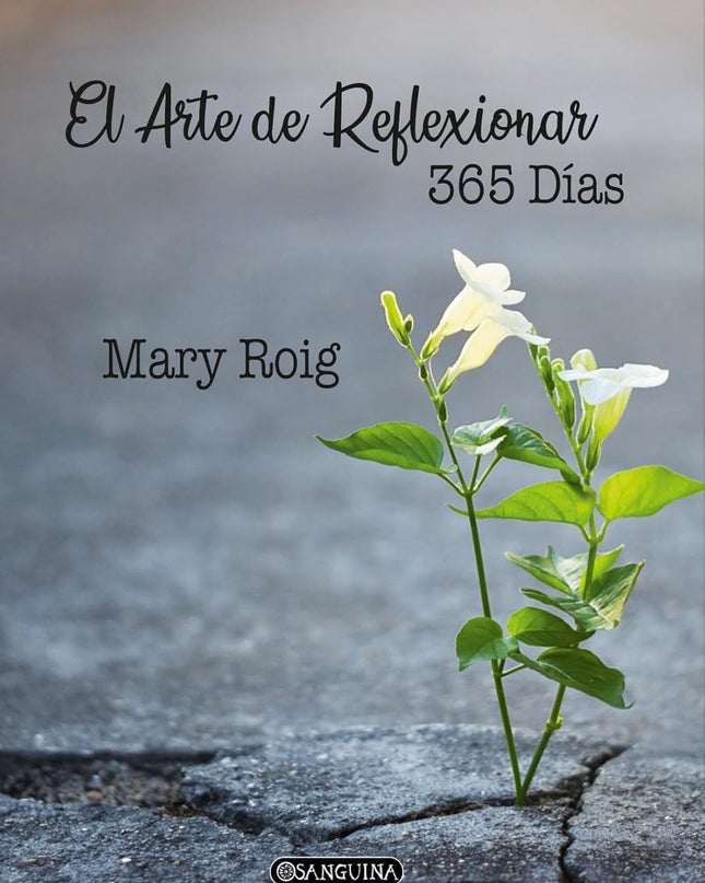 El Arte De Reflexionar