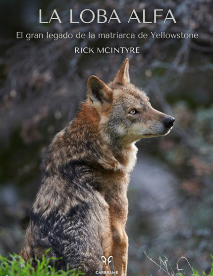 Collection image for: Fauna: animales acuáticos