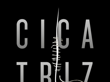 Cicatriz