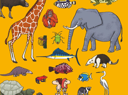 Busca Y Encuentra Entre Los Animales